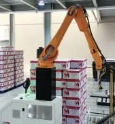 Details of MD-1 Automatic palletizer for cartons and packaged loads