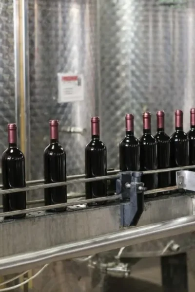 Wine bottling line for standard glass bottles with corking or screw capping and clean label presentation