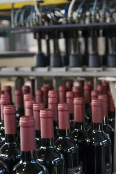 Wine bottling scene for grape wine and fruit wine in glass bottles