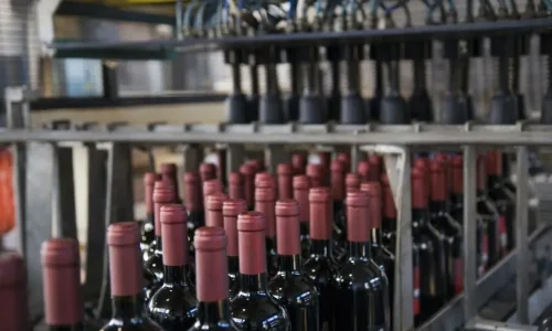 Wine bottling scene for grape wine and fruit wine in glass bottles